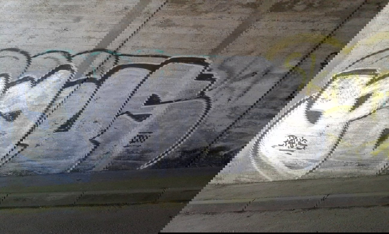 Graffiti Bombing - Photo by taggman143