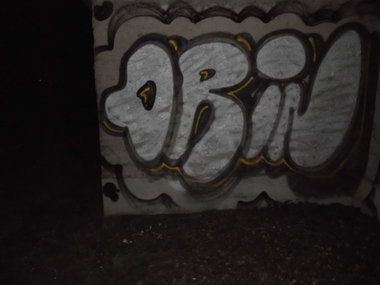 Graffiti Bombing - Photo by taggman143