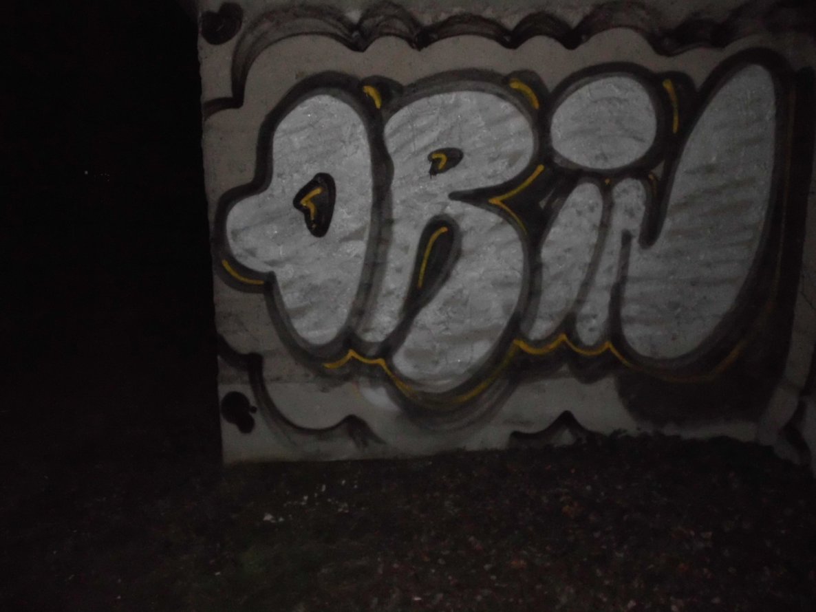 Graffiti Bombing - Photo by taggman143