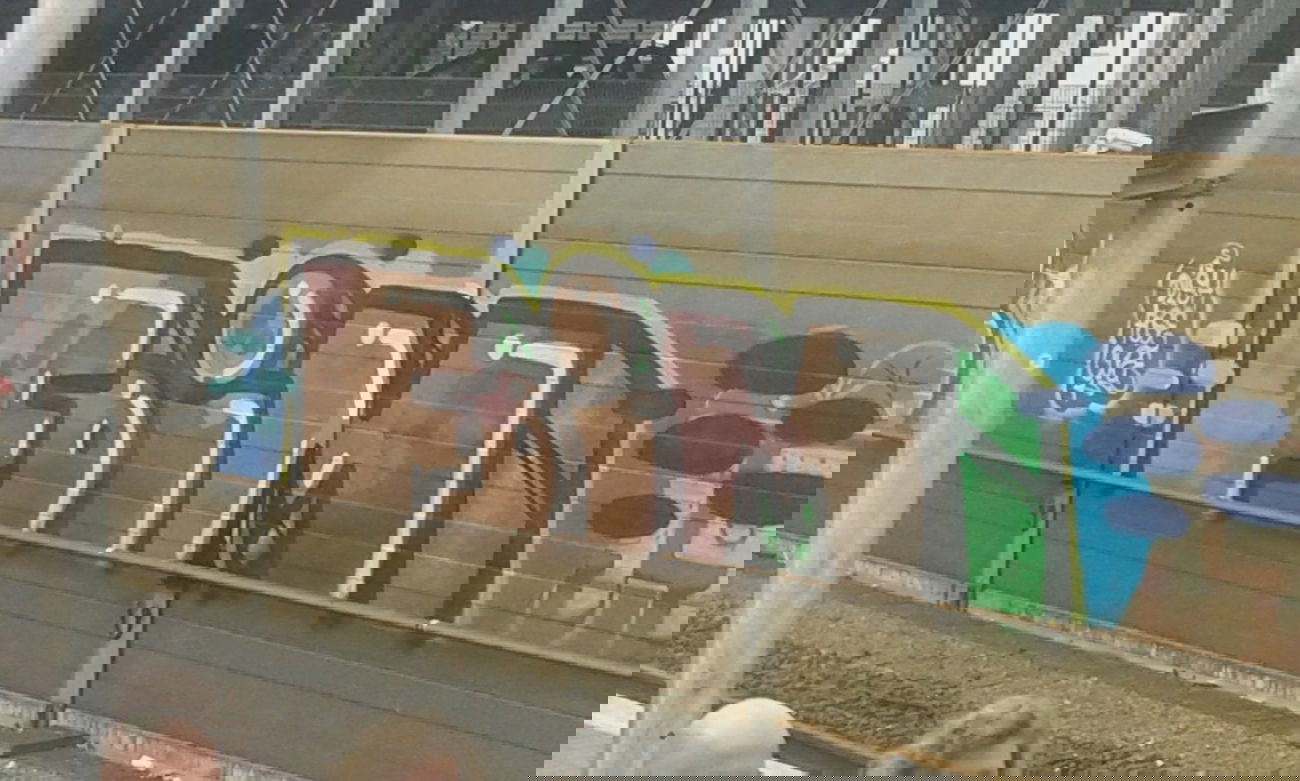 Graffiti Bombing - Photo by taggman143