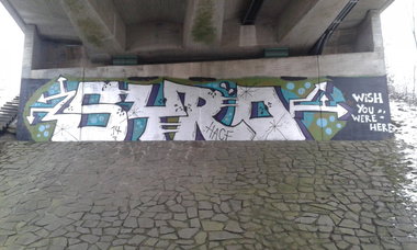 Graffiti Bombing - Photo by taggman143