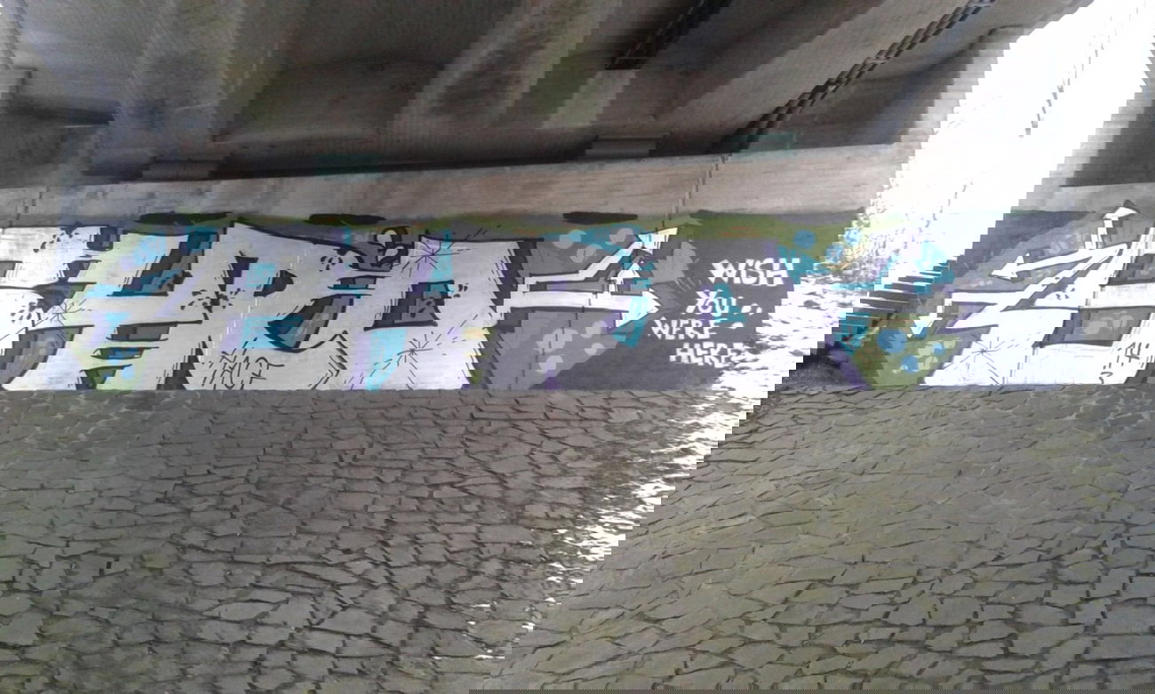 Graffiti Bombing - Photo by taggman143