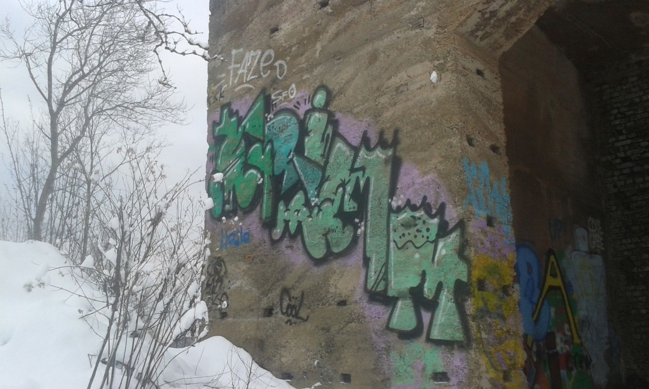 Graffiti Bombing - Photo by taggman143