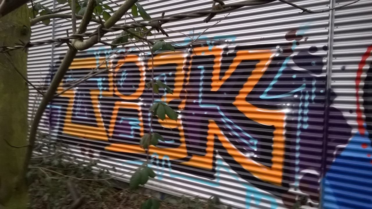 Graffiti Bombing - Photo by taggman143