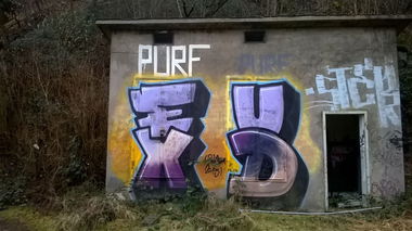 Graffiti Bombing - Photo by taggman143