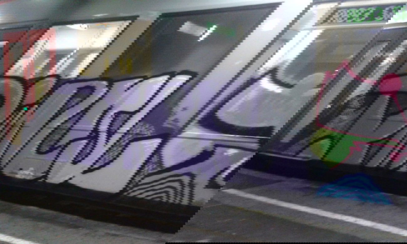 Graffiti Train - Photo by taggman143