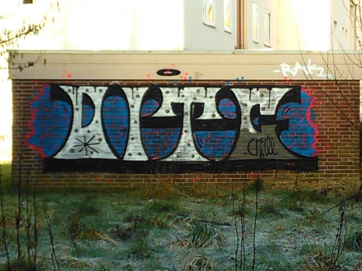 Graffiti Bombing in Oldenburg - Photo by tampa911 - Ditc