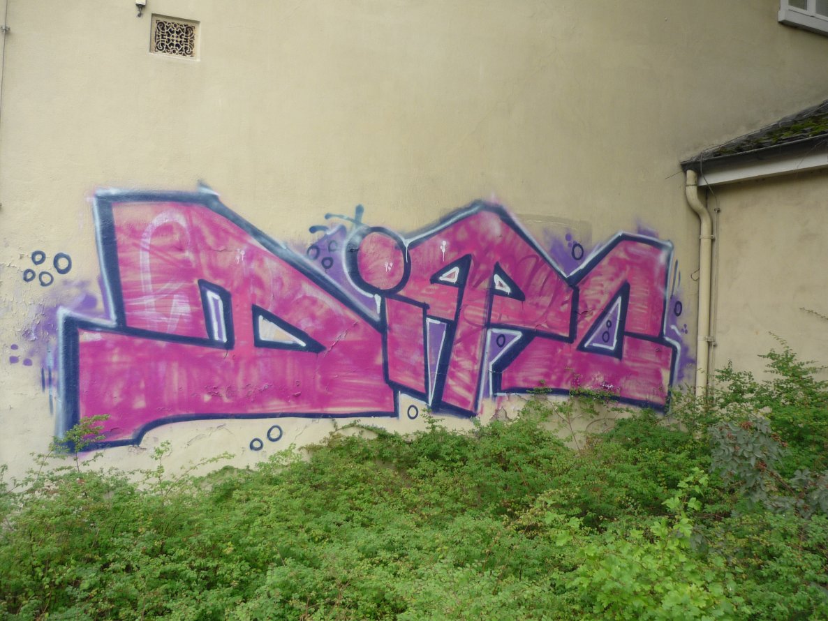 Graffiti Bombing in Oldenburg - Photo by tampa911 - Ditc