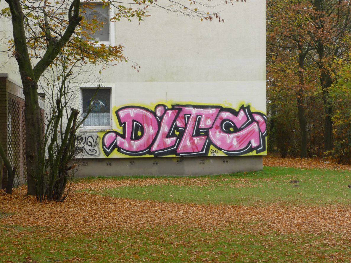 Graffiti Bombing in Oldenburg - Photo by tampa911 - Ditc