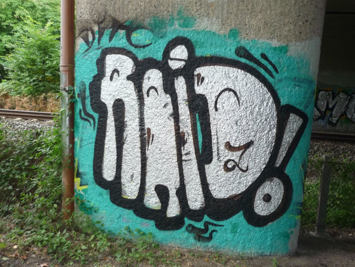 Graffiti Bombing in Oldenburg - Photo by tampa911 - Raid