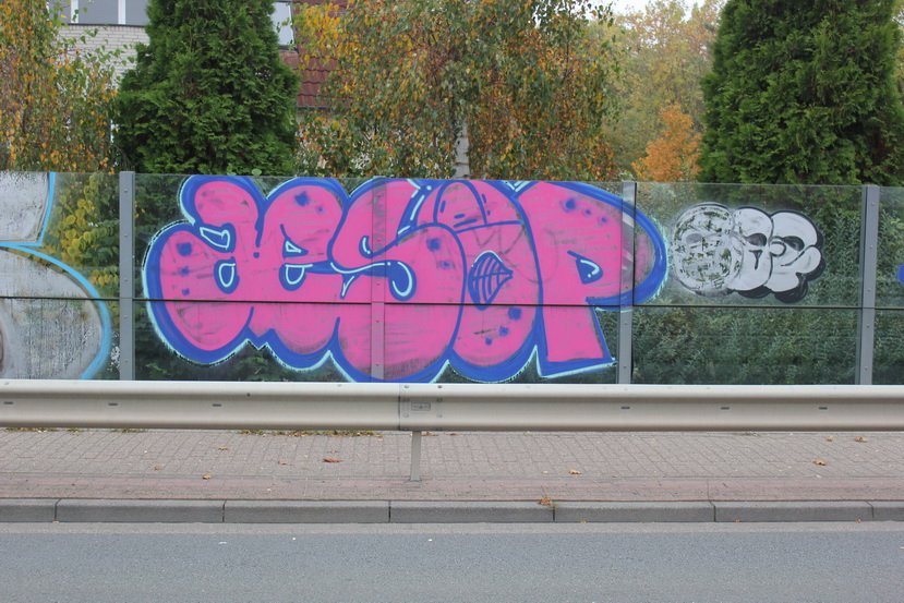 Graffiti Bombing in Oldenburg - Photo by tampa911 - Aesop
