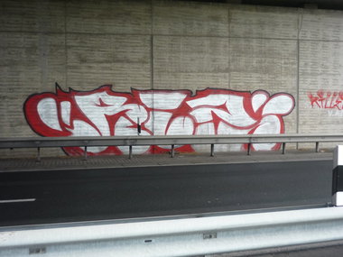 Graffiti Bombing in Oldenburg - Photo by tampa911 - Riz