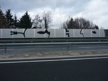 Graffiti Bombing in Oldenburg - Photo by tampa911 - Echo