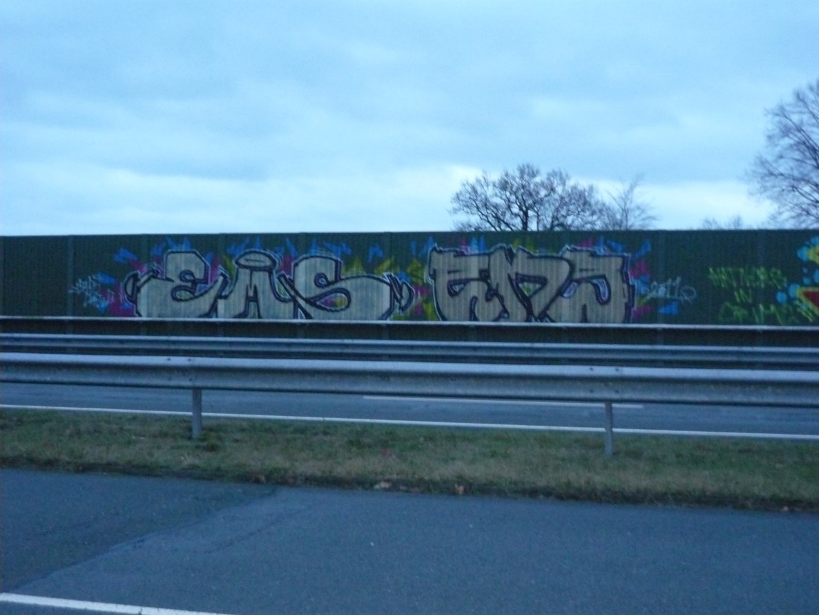 Graffiti Bombing in Oldenburg - Photo by tampa911 - Ems