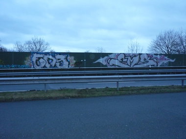 Graffiti Bombing - Photo by tampa911 - Ems