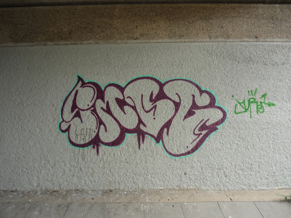 Graffiti Wall - Photo by tampa911 - Smog