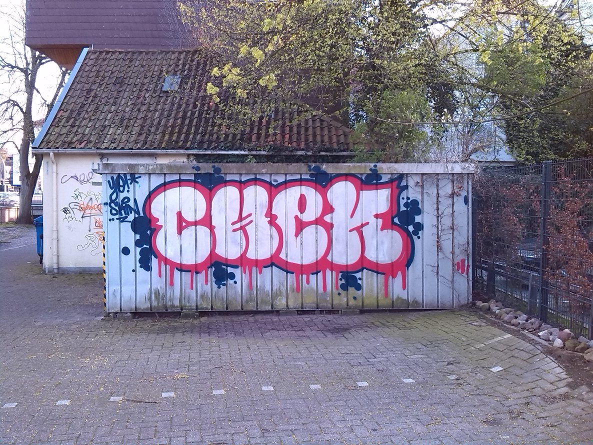Graffiti Bombing in Oldenburg - Photo by tampa911 - Chek