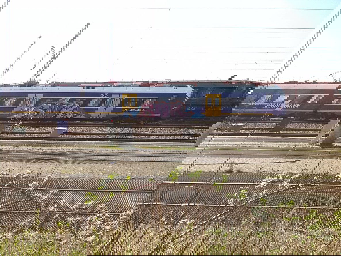 Graffiti Train in Oldenburg - Photo by tampa911 - Swk