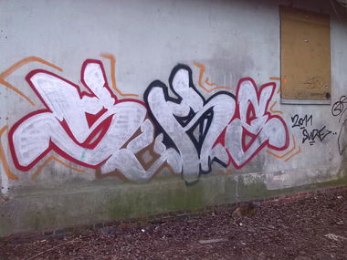 Graffiti Bombing in Oldenburg - Photo by tampa911 - Sure (2011)