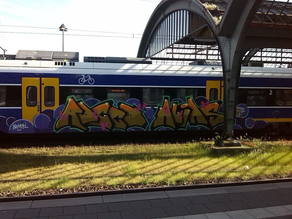 Graffiti Train in Oldenburg - Photo by tampa911 - Bambi, Rize