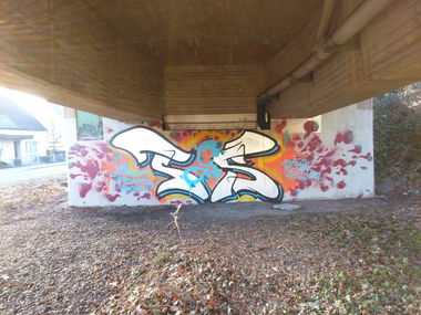 Graffiti Bombing in Oldenburg - Photo by tampa911 - Tgs