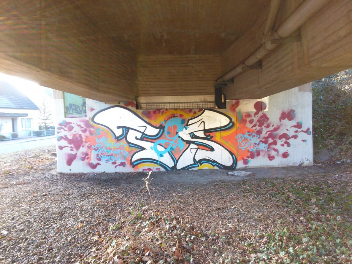 Graffiti Bombing in Oldenburg - Photo by tampa911 - Tgs
