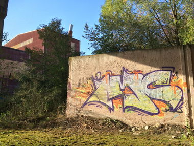 Graffiti Bombing - Photo by teaka