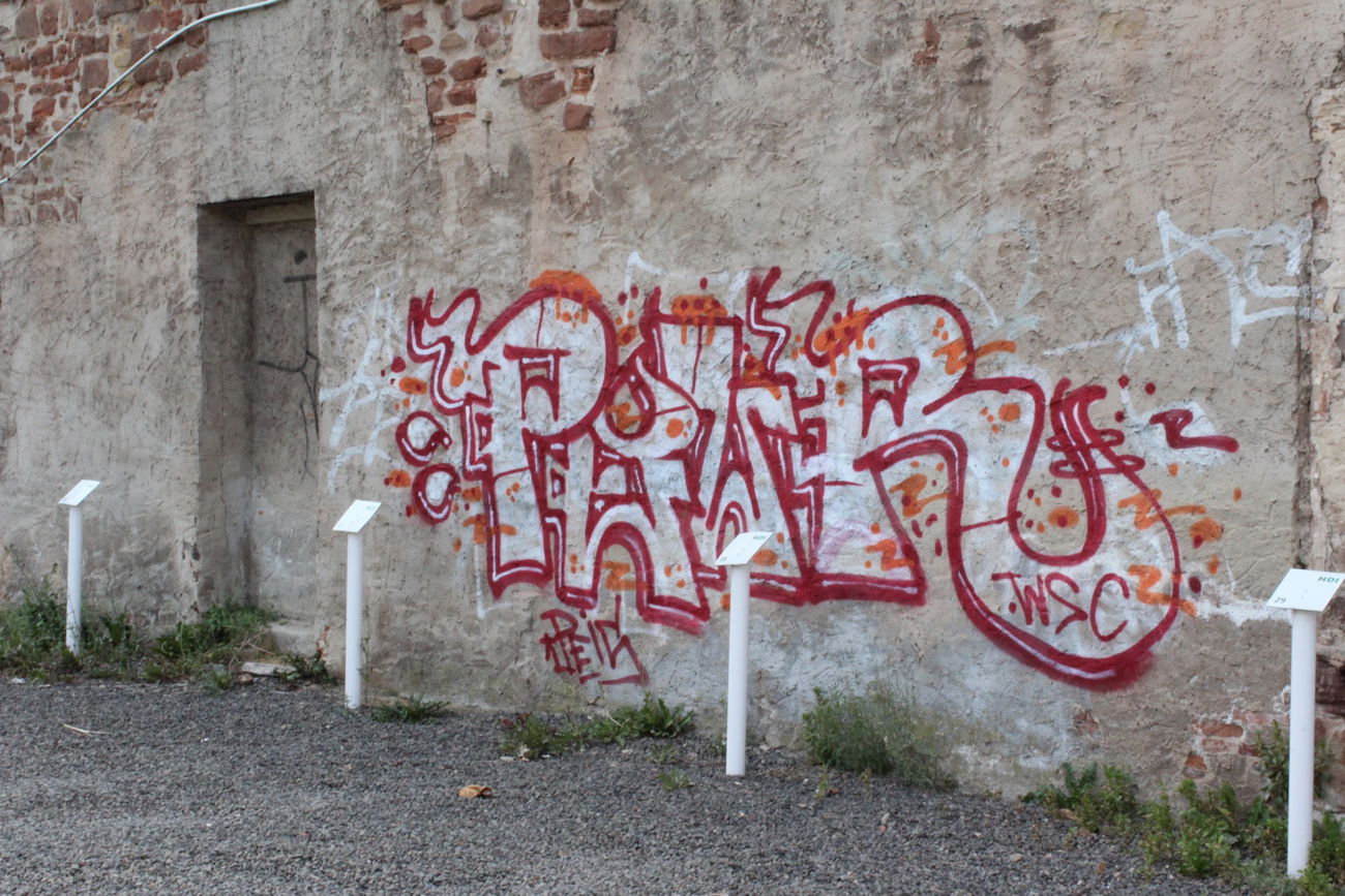 Graffiti Wall - Photo by teaka - imc