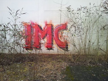 Graffiti Bombing - Photo by teaka - IMC, Rubin (2014)