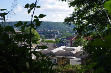 Graffiti Bombing - Photo by teaka