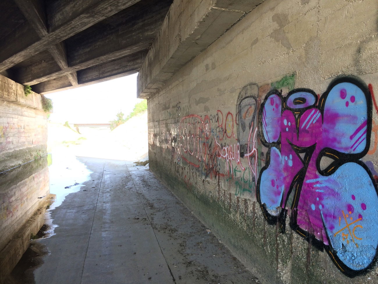 Graffiti Bombing - Photo by teaka - IMC