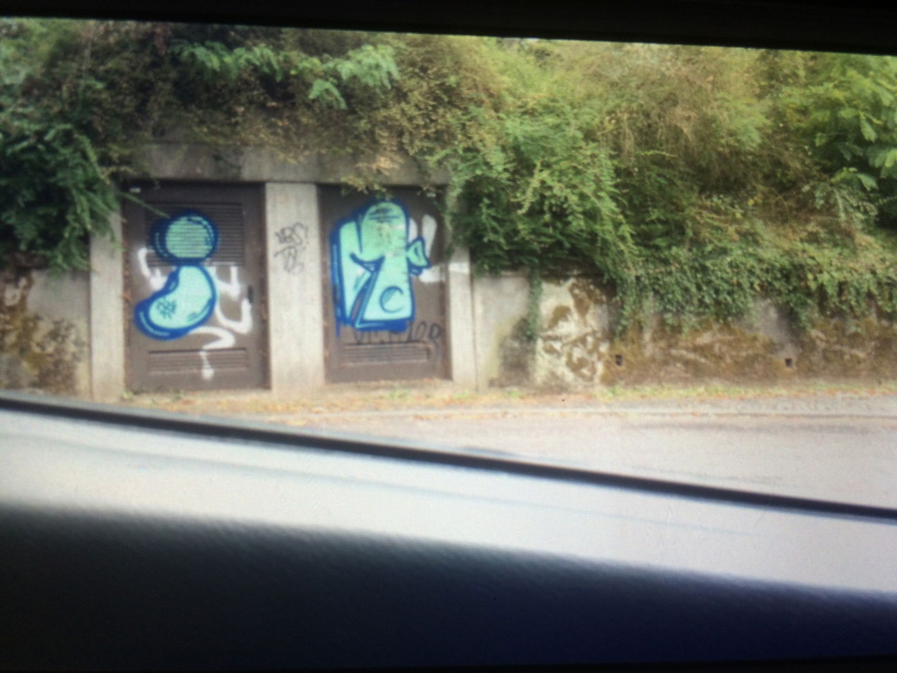 Graffiti Bombing - Photo by teaka