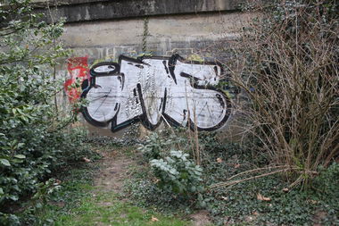 Graffiti Bombing - Photo by teaka