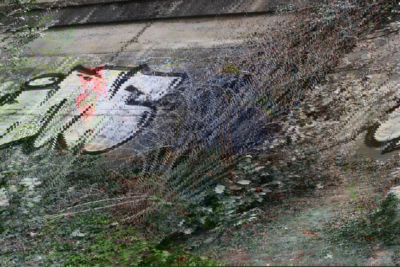 Graffiti Bombing - Photo by teaka