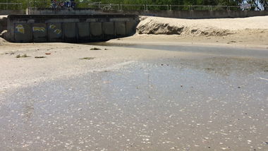 Graffiti Bombing - Photo by teaka - IMC