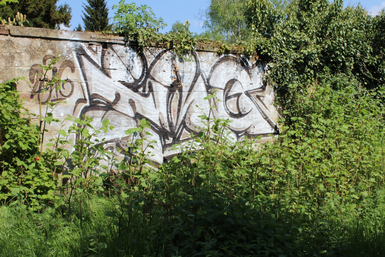 Graffiti Wall - Photo by teaka - imc