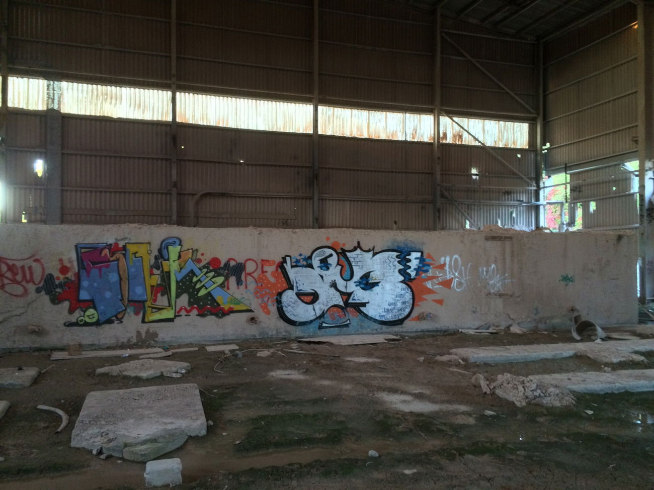 Graffiti Bombing - Photo by teaka