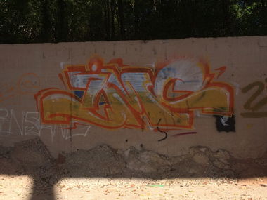 Graffiti Bombing - Photo by teaka