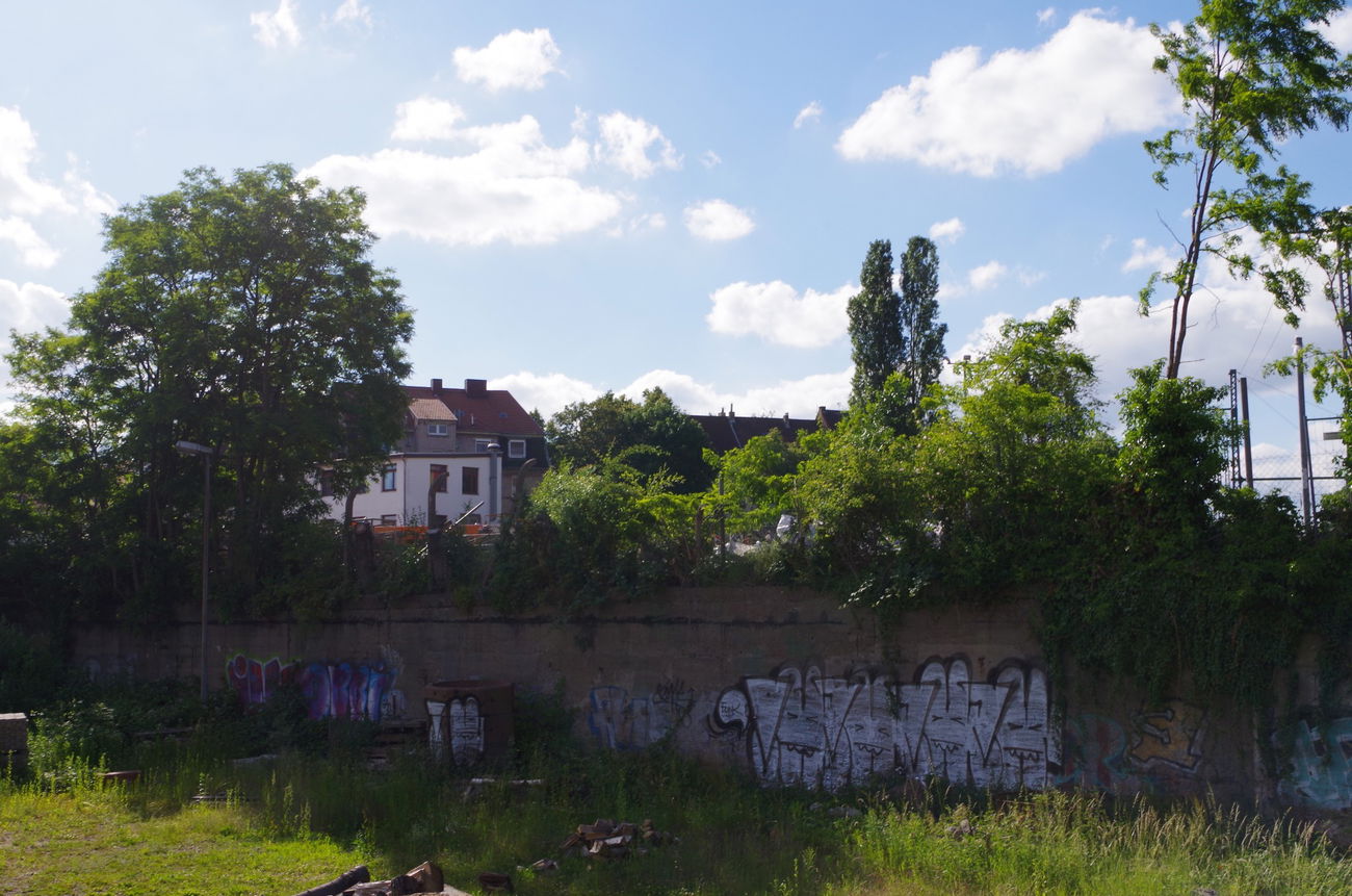 Graffiti Bombing - Photo by teaka