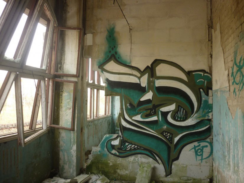 Graffiti Wall in Tver - Photo by tedf (2012)