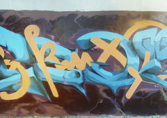 Photo #171259 by Belt