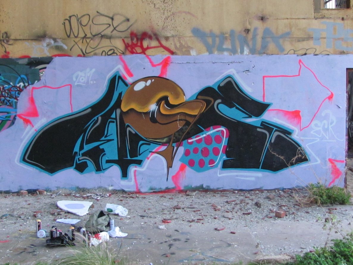 Graffiti Wall - Photo by tepid