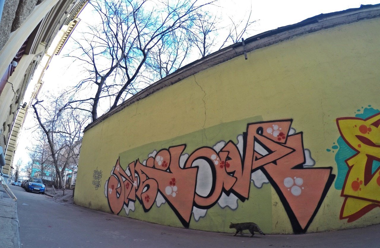 Graffiti Wall - Photo by tgngrown - Kenar, ?????, ?????? (2014)