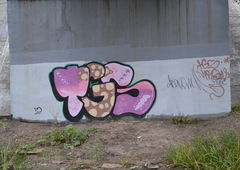 Photo #36973 by tampa911