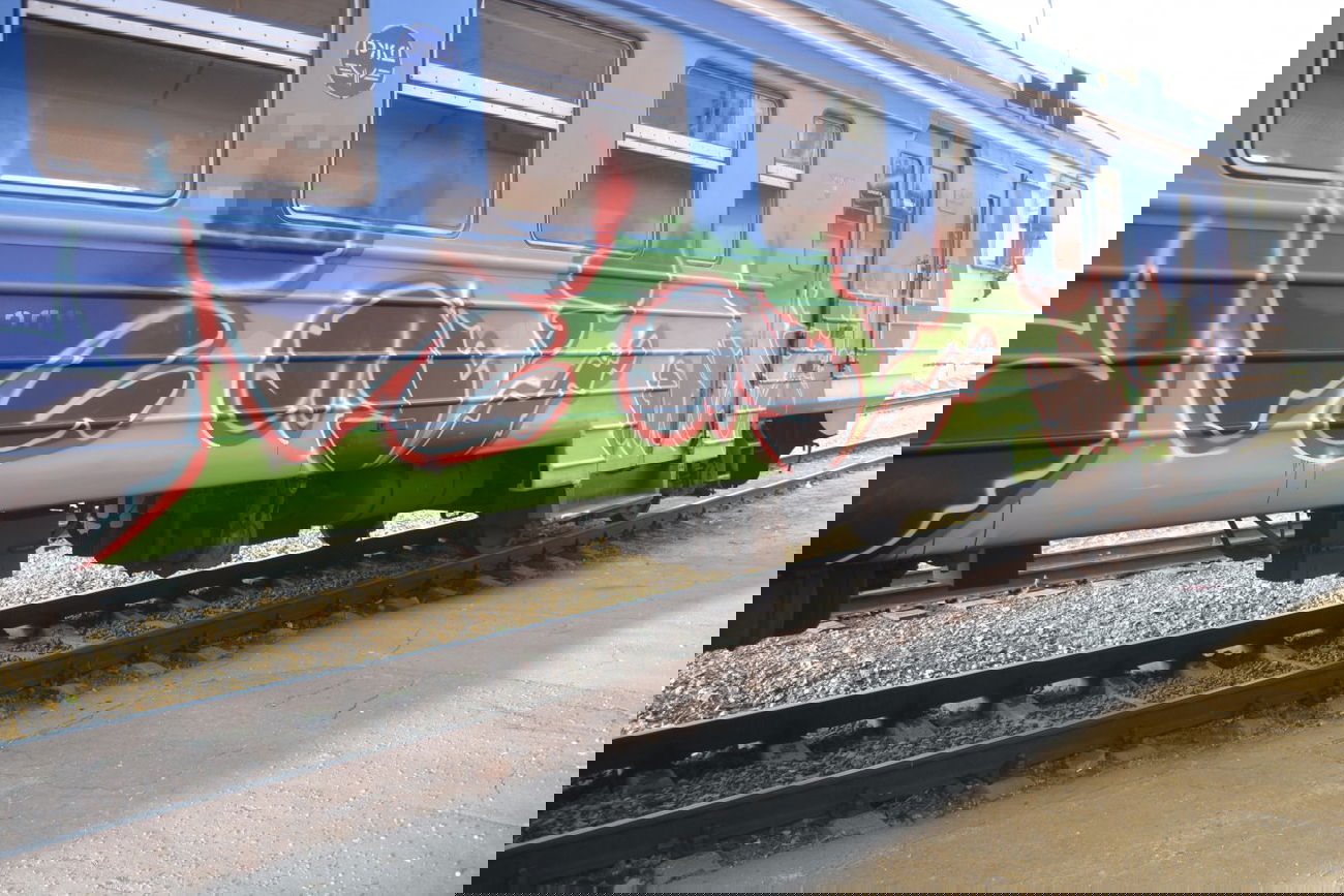 Graffiti Train - Photo by themu (2013)