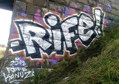 Photo #179367 by iobe1