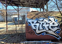 Photo #249043 by iobe1