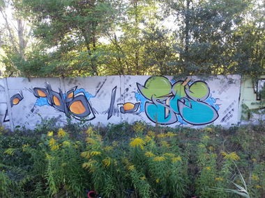 Graffiti Bombing - Photo by thirteen (2013)