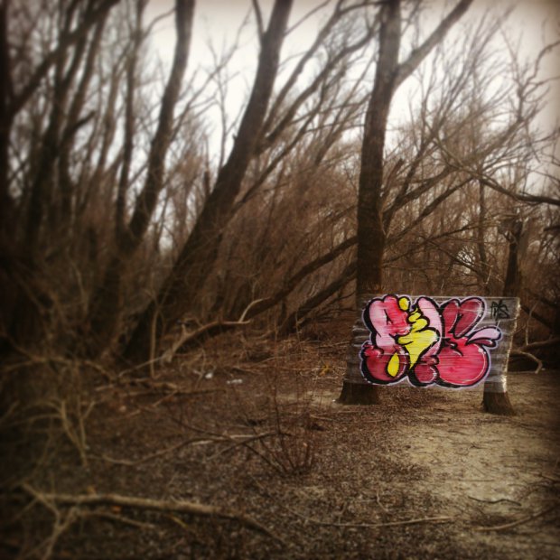 Graffiti Wall - Photo by thirteen