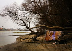 Photo #76848 by koal